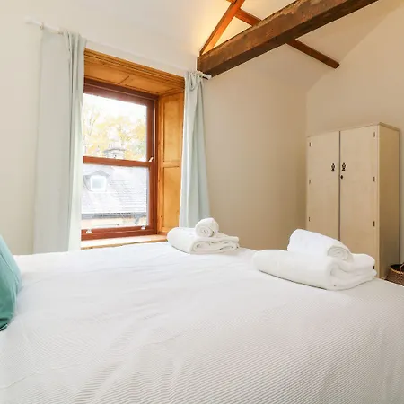 Chews 페이틀리브리지